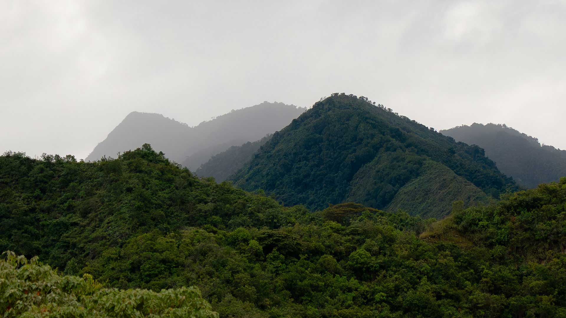 Paysage colombien